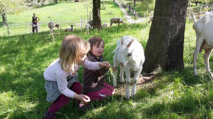 Jak vychovávat děti zdravě, přirozeně, aby žily v kontaktu s přírodou - tipy a rady Jak vychovávat děti zdravě, přirozeně, aby žily v kontaktu s přírodou - tipy a rady