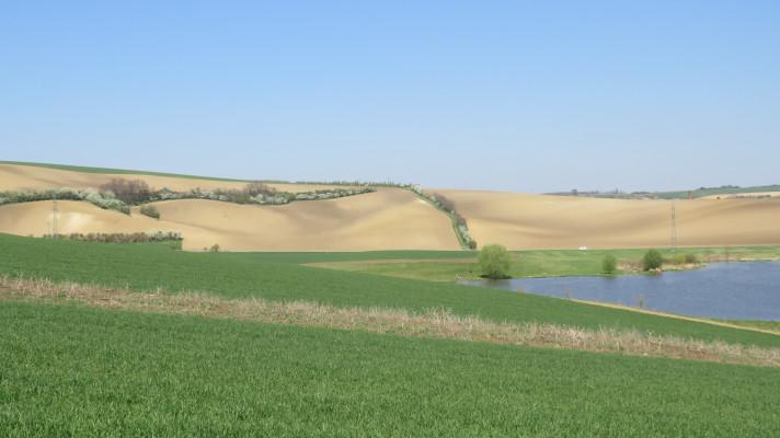 ČR, Německo, Rakousko, Itálie a Polsko v rámci evropského projektu vytvoří modely pro propojení zeleně volné krajiny v okolí měst a obcí ČR, Německo, Rakousko, Itálie a Polsko v rámci evropského projektu vytvoří modely pro propojení zeleně volné krajiny v okolí měst a obcí
