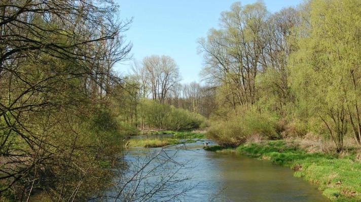Vědci zkoumali, zda mohou vrty ohrozit zásobu podzemní vody v lužních lesích Vědci zkoumali, zda mohou vrty ohrozit zásobu podzemní vody v lužních lesích
