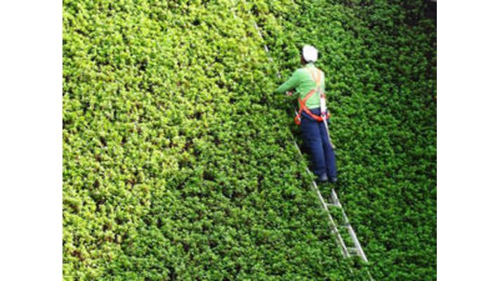 Dobříš: Vzdělávací program k údržbě sídelní zeleně Dobříš: Vzdělávací program k údržbě sídelní zeleně