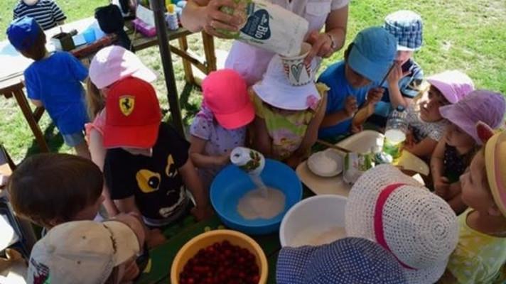 Každý rok se ve školních jídelnách vyhodí až 48 000 tun potravin. Skutečně zdravá škola vyzývá ke snižování plýtvání Každý rok se ve školních jídelnách vyhodí až 48 000 tun potravin. Skutečně zdravá škola vyzývá ke snižování plýtvání