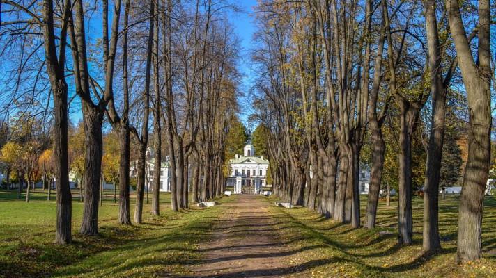 Soud rozhodl, že silničáři musí stromy na Chrudimsku vysadit Soud rozhodl, že silničáři musí stromy na Chrudimsku vysadit