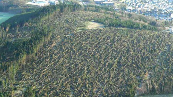 Poušť nebo les? Jak vypadá Šumava 11 let po orkánu Kyrill a následné kůrovcové gradaci? Poušť nebo les? Jak vypadá Šumava 11 let po orkánu Kyrill a následné kůrovcové gradaci?