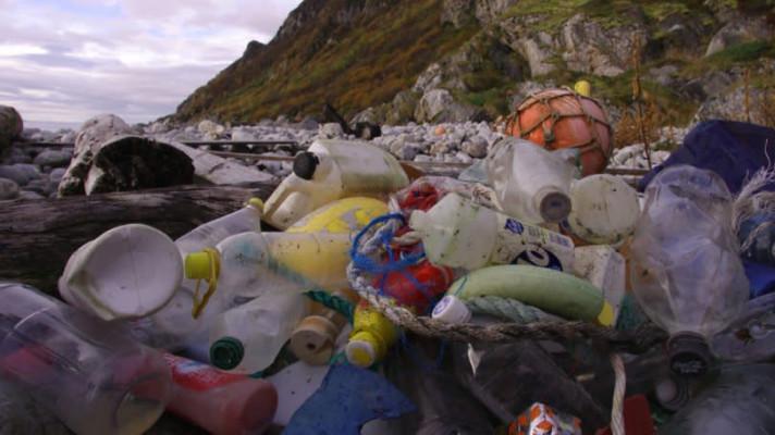 Plastic eating system could help solve recycling crisis Plastic eating system could help solve recycling crisis