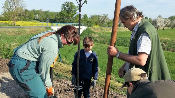 Malá obec chrání klima jedinečným kompenzačním projektem. Aleje pohltí desítky tun emisí Malá obec chrání klima jedinečným kompenzačním projektem. Aleje pohltí desítky tun emisí