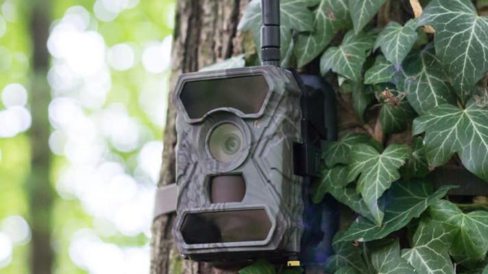 Strážníci v Aši instalují u černých skládek fotopasti Strážníci v Aši instalují u černých skládek fotopasti