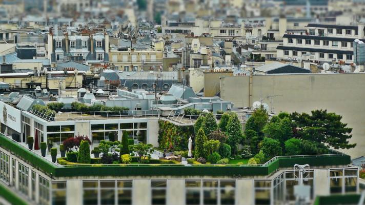 V boji proti horku ve městech pomáhají zelené střechy a fasády V boji proti horku ve městech pomáhají zelené střechy a fasády