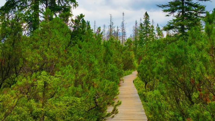 363,3 milionů na přírodní zahrady škol a školek, zeleň v obcích nebo turistický servis v národních parcích. MŽP podpořilo 821 projektů 363,3 milionů na přírodní zahrady škol a školek, zeleň v obcích nebo turistický servis v národních parcích. MŽP podpořilo 821 projektů