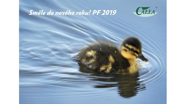 I v roce 2018 Calla aktivně chránila ohrožené druhy v pískovnách I v roce 2018 Calla aktivně chránila ohrožené druhy v pískovnách