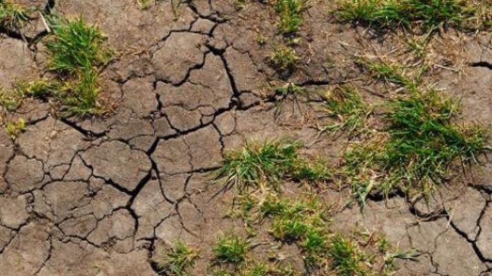 Nový pořad ČT ,,Klima mění Česko" ukáže hrozby ale i příležitosti klimatické změny Nový pořad ČT ,,Klima mění Česko" ukáže hrozby ale i příležitosti klimatické změny