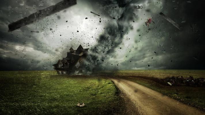 Ničivé tajfuny se posouvají na sever, zjistili vědci z letokruhů Ničivé tajfuny se posouvají na sever, zjistili vědci z letokruhů