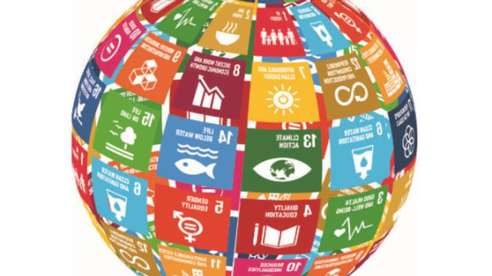 Implementation and Delivery of the Sustainable Development Goals (SDGs) Implementation and Delivery of the Sustainable Development Goals (SDGs)