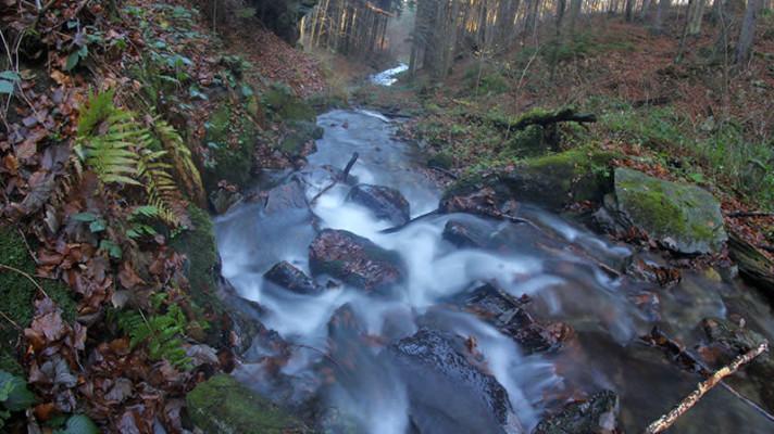 Světový den vody: k zadržení vody v krajině nejlépe pomůže sama příroda Světový den vody: k zadržení vody v krajině nejlépe pomůže sama příroda