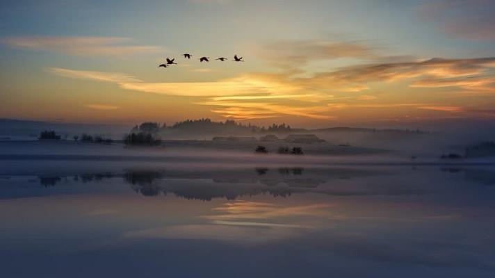 Nařízení vlády, kterým se mění nařízení vlády č. 26/2005 Sb., kterým se vymezuje Ptačí oblast Soutok-Tvrdonicko Nařízení vlády, kterým se mění nařízení vlády č. 26/2005 Sb., kterým se vymezuje Ptačí oblast Soutok-Tvrdonicko