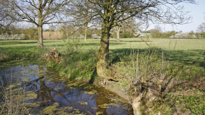 Klima mění priority pozemkových úprav Klima mění priority pozemkových úprav