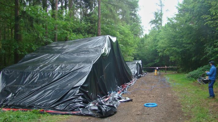 Včasná a účinná asanace dříví zabrání dalšímu šíření kůrovcové kalamity Včasná a účinná asanace dříví zabrání dalšímu šíření kůrovcové kalamity