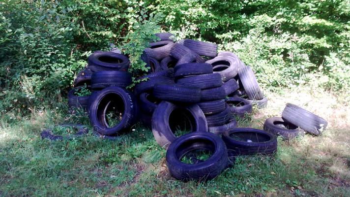 Lesy ČR loni zlikvidovaly 632 černých skládek z 25 hektarů Lesy ČR loni zlikvidovaly 632 černých skládek z 25 hektarů