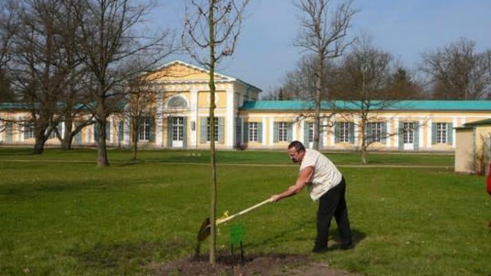 P. Poc: Dnes jsem smazal svou uhlíkovou stopu P. Poc: Dnes jsem smazal svou uhlíkovou stopu