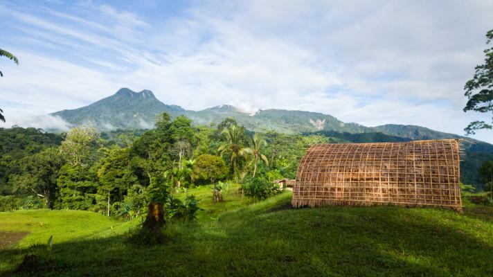 Na neprobádaném tichomořském ostrově objevil český vědec nové druhy mravenců a dalšího hmyzu Na neprobádaném tichomořském ostrově objevil český vědec nové druhy mravenců a dalšího hmyzu