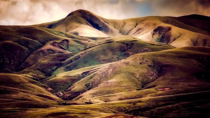 Vikingové vykáceli lesy, Island je intenzivně vysazuje Vikingové vykáceli lesy, Island je intenzivně vysazuje