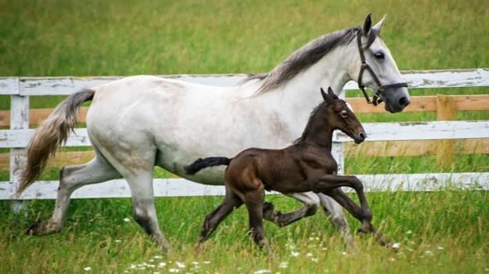 ČR má na seznamech UNESCO zapsáno 14 památek a šest zvyků ČR má na seznamech UNESCO zapsáno 14 památek a šest zvyků