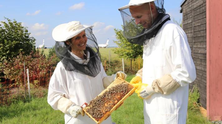 Letiště Praha získalo již po šesté Zlatou medaili za květový med Letiště Praha získalo již po šesté Zlatou medaili za květový med