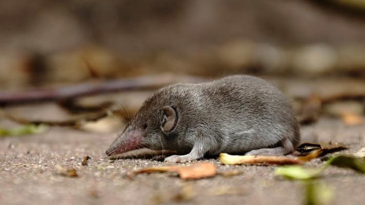 Rostu tam a zase zpátky Rostu tam a zase zpátky