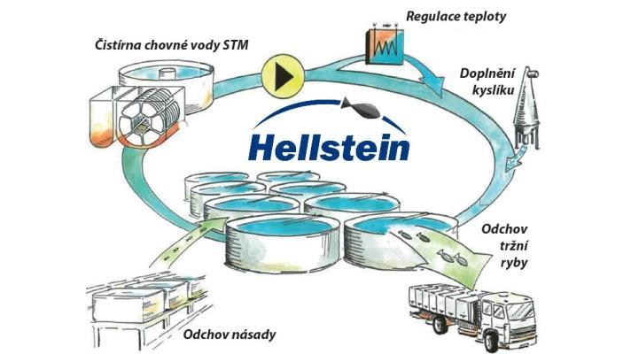 Nekončící zásobu zálivkové vody vytvoříte v domácí bezúdržbové čističce STMH Nekončící zásobu zálivkové vody vytvoříte v domácí bezúdržbové čističce STMH