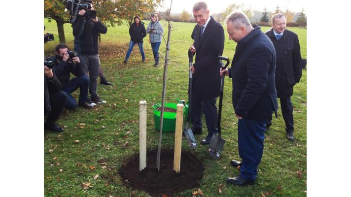 Stezka sucha v Průhonicích pomáhá najít správné stromy do vyprahlých měst Stezka sucha v Průhonicích pomáhá najít správné stromy do vyprahlých měst
