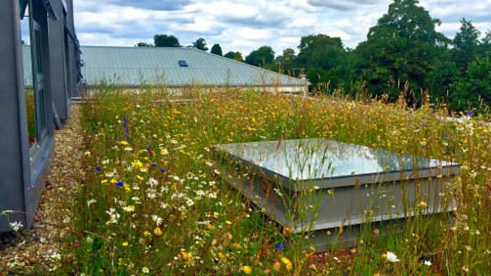 Plocha nově dokončených zelených střech v ČR vzrostla o čtvrtinu Plocha nově dokončených zelených střech v ČR vzrostla o čtvrtinu