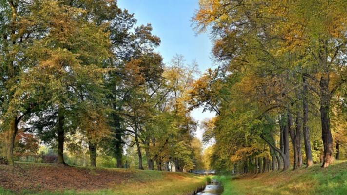 Alejí roku 2019 se stala památná alej u Rakovnického potoka Alejí roku 2019 se stala památná alej u Rakovnického potoka