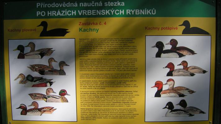 Krajská síť environmentálních center Krasec zahájila projekt Oživené stezky Krajská síť environmentálních center Krasec zahájila projekt Oživené stezky
