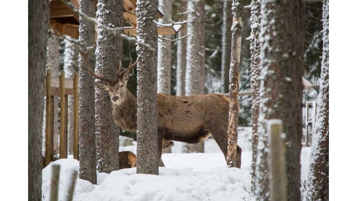 Návštěvnické centrum Kvilda rozšiřuje svoji nabídku Návštěvnické centrum Kvilda rozšiřuje svoji nabídku