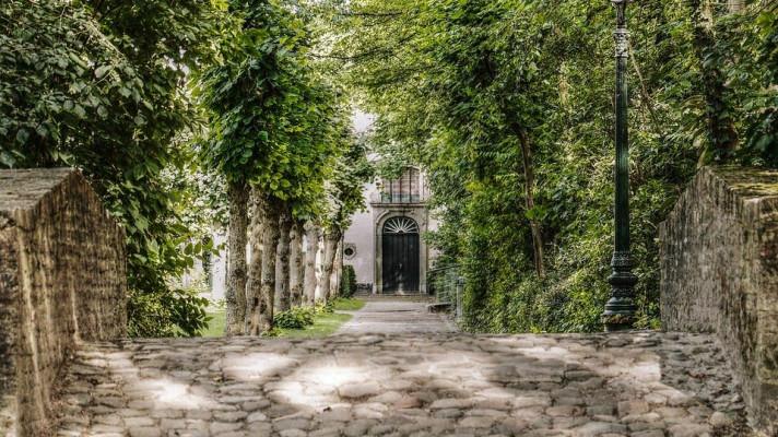 Stromy ve městech (pohled hygienika) Stromy ve městech (pohled hygienika)