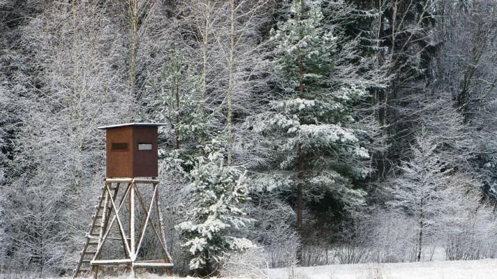 Ochránci přírody varují: novela mysliveckého zákona poškodí naši krajinu Ochránci přírody varují: novela mysliveckého zákona poškodí naši krajinu