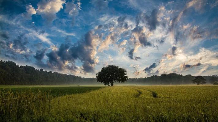 Pro čisté ovzduší: kotlíkové půjčky pro dalších 122 obcí a auta na ekologický pohon pro 51 úřadů Pro čisté ovzduší: kotlíkové půjčky pro dalších 122 obcí a auta na ekologický pohon pro 51 úřadů