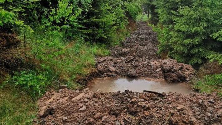 Suché lesy mají naději na zelené zítřky: unikátní experiment z Beskyd ukázal možnost, jak v nich efektivně zadržet vodu Suché lesy mají naději na zelené zítřky: unikátní experiment z Beskyd ukázal možnost, jak v nich efektivně zadržet vodu