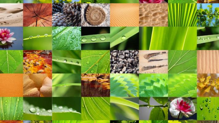 22. květen - Mezinárodní den biodiverzity 22. květen - Mezinárodní den biodiverzity