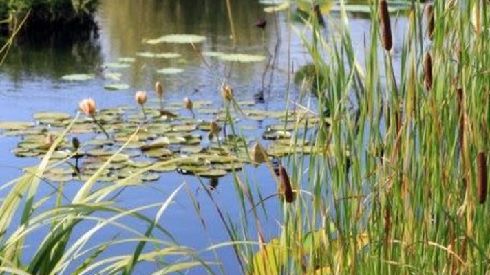 Evropská agentura pro životní prostředí vyhlašuje fotosoutěž na téma znovuobjevení pouta s přírodou kolem nás Evropská agentura pro životní prostředí vyhlašuje fotosoutěž na téma znovuobjevení pouta s přírodou kolem nás