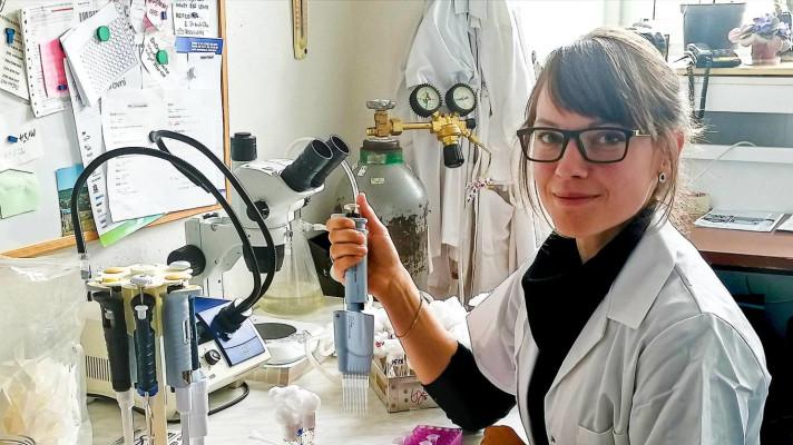 Tři mladí českobudějovičtí vědci obdrželi Prémii Otto Wichterleho Tři mladí českobudějovičtí vědci obdrželi Prémii Otto Wichterleho