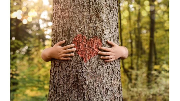 11. konference o ekovýchově v Praze 11. konference o ekovýchově v Praze