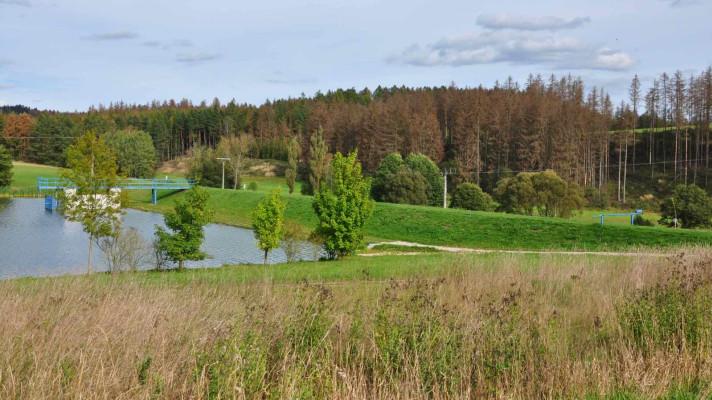 Průběh kůrovcové kalamity v roce 2019 Průběh kůrovcové kalamity v roce 2019