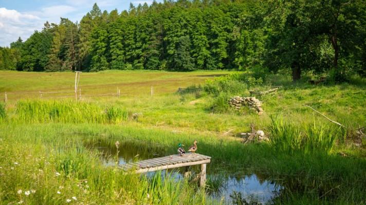 Do finále soutěže Adapterra Awards míří 21 nejlepších projektů, které pomáhají čelit suchu, povodním i změně klimatu Do finále soutěže Adapterra Awards míří 21 nejlepších projektů, které pomáhají čelit suchu, povodním i změně klimatu