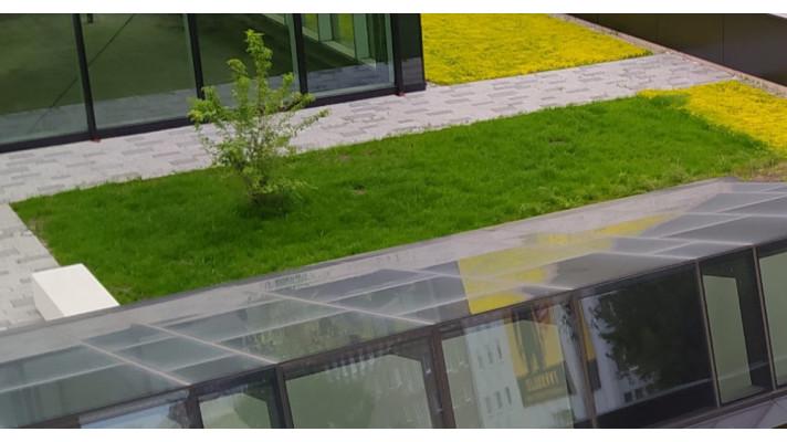 PODPOŘTE BRNO V SOUTĚŽI E.ON ENERGY GLOBE A HLASUJTE PRO PROJEKT DOTAČNÍ PODPORY ZELENÝCH STŘECH PODPOŘTE BRNO V SOUTĚŽI E.ON ENERGY GLOBE A HLASUJTE PRO PROJEKT DOTAČNÍ PODPORY ZELENÝCH STŘECH