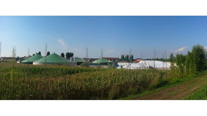 Dnes slavíme Den bioenergetiky Dnes slavíme Den bioenergetiky