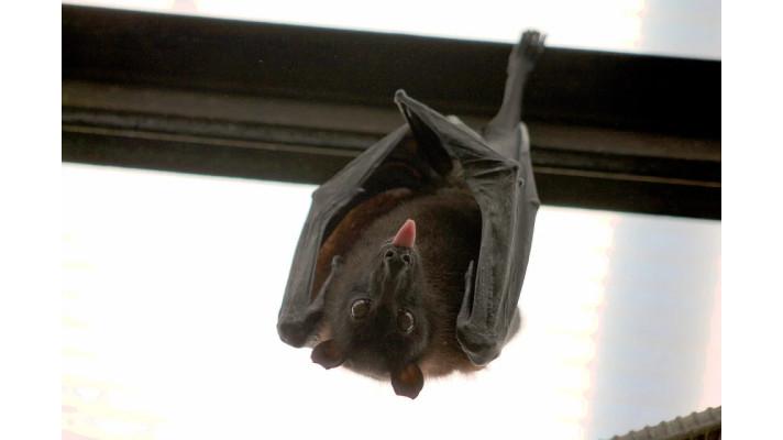 1100 letounů si spletlo adresu 1100 letounů si spletlo adresu