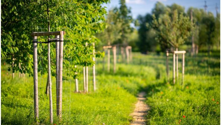 Adapterra Awards - Environmentální park Škrlovec Adapterra Awards - Environmentální park Škrlovec