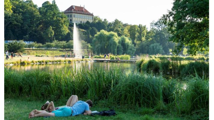 Adapterra Awards - Obnova Královské obory Stromovka v Praze Adapterra Awards - Obnova Královské obory Stromovka v Praze