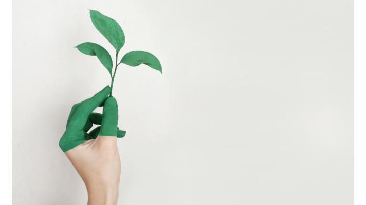 Menstruace bez odpadu? Jde to! Menstruace bez odpadu? Jde to!