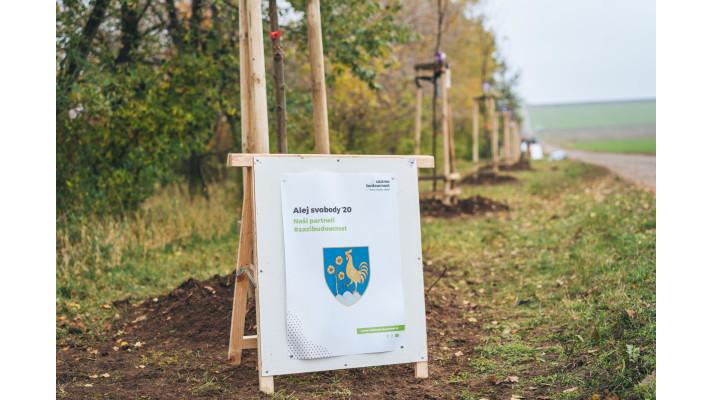 Namísto ostnatého drátu stromy. V Šatově vyrostla Alej svobody Namísto ostnatého drátu stromy. V Šatově vyrostla Alej svobody